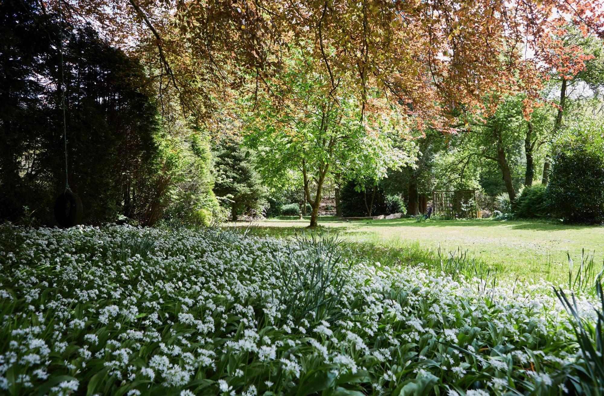 Afon Rhaiadr Country House 돌겔라우 외부 사진